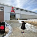 여주-0480 이미지