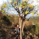 제주나인리조트 이미지