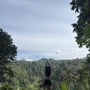 공인농장 | 발리 우붓 요가원 3곳 후기