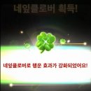 사주개 | 프라하 타로&amp;사주 걱정을사라지게해준 사주 후기 / 홍대, 연남동