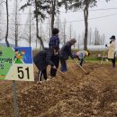 서부농장 이미지