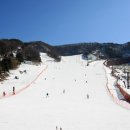 (주)파인리조트 이미지