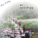 소광도