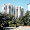 도곡1-115 이미지