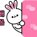 쥬리살롱