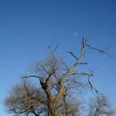 덕신산장 이미지