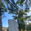 서흔남 묘비 이미지