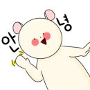 시네마이텔 이미지