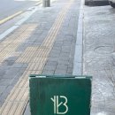비르케 이미지