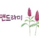 이화공중 목욕탕(갑) 이미지
