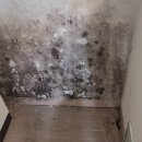 구월힐스테이트1단지 | 인천 구월동 구월힐스테이트·롯데캐슬골드1단지 입주청소｜2007년 구축 상세 후기