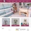 도그어바웃 강아지분양 이미지