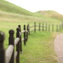 갈현농장 이미지