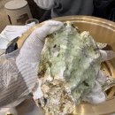 * 광주 용봉동 술집 * 삼배체굴 너무 맛있는 * 대천 조개구이 솔직후기 *