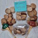 형선농장 네이버블로그