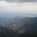 다도 숲으로 민박 이미지