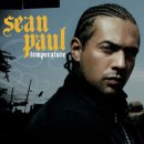 Sean Paul - Temperature 이미지