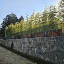 베어스톤 | 제주도브런치 엠버퓨어힐 더스톤 런치 후기