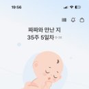 한마음파크장 | [육아] 창원한마음병원 | 파티맘산후조리원 13박 14일 출산기록❤️