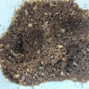 손수완커피 이미지