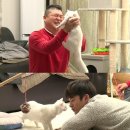 [151230]&#39;마리와 나&#39; 강호동-서인국, 고양이 돌보미 출장 서비스 이미지