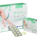 제일정 이미지