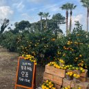 대명2농장 이미지