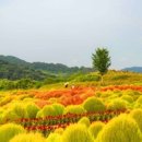 한서S.C. 이미지
