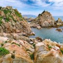 도심의 쉼터 이미지