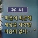 여름일기