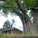 도림경로당 이미지