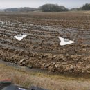 호 태양광발전소 이미지