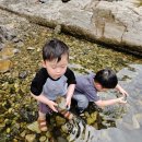 밀양 가족펜션 추천 숲속의아침펜션, 아이와 1박 2일 꽉 채운 솔직 후기(밀양 표충사 계곡)