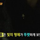 안앤리 이미지