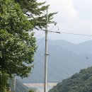 전봇대 Daum카페
