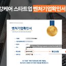채움벤처스