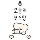 소루 에디트(SOLEW EDIT) 이미지