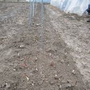 우리농원 이미지