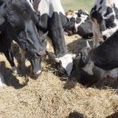 세원목장 이미지