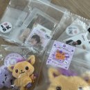 시온메드 이미지