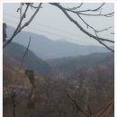 사내골농장 Daum카페