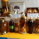 송광농장 이미지