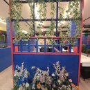 춘천꽃대패 이미지