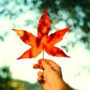 봉천한의원 이미지