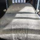 디테일링케이(Detailing K) | 서산 디테일링샵 슬리커 기아 K5 케어 후기