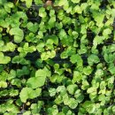 속리산농장 이미지