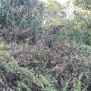 수두리경로당 이미지