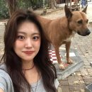 이디하우스 | 여행 DAY2~3: 앨리스키친, 왓우몽 도이수텝 투어, 로띠, 그래프카페, 빈티지샵, Riflesso 젤라또, 아로이디