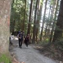 (후기) Lynn Valley 스포츠클라이밍 이미지