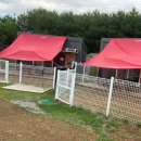 미스터로빈 이미지